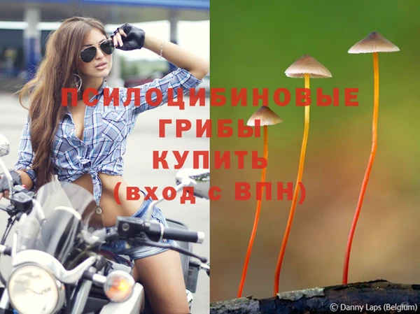 экстази Армянск