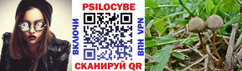 Псилоцибиновые грибы MAGIC MUSHROOMS  Коломна 